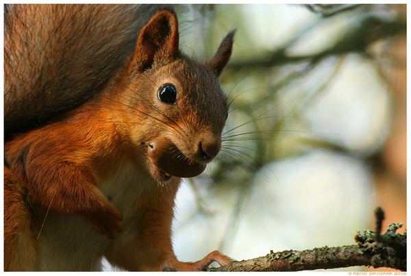 ����� � �������� �� ����..