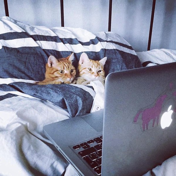 ��� ���� ����� � �����!