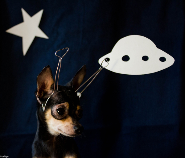 ��� ������ ����.