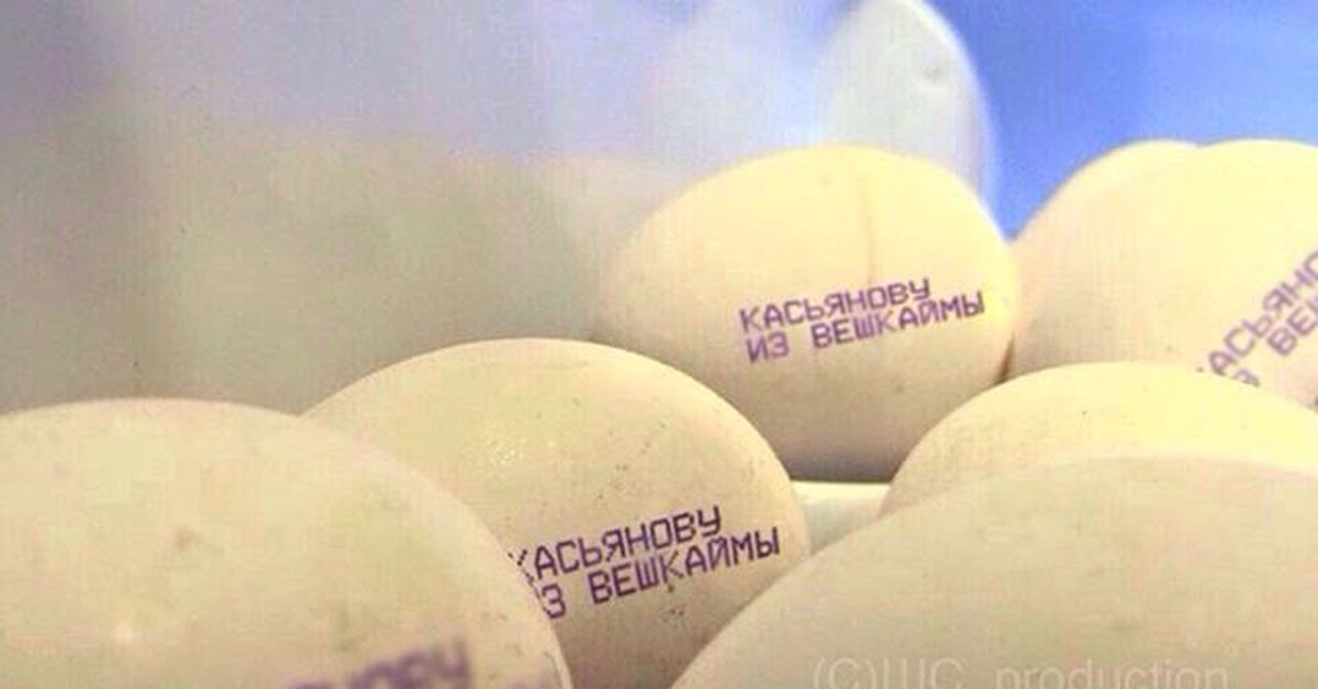 Сколько стоят яйца 2024