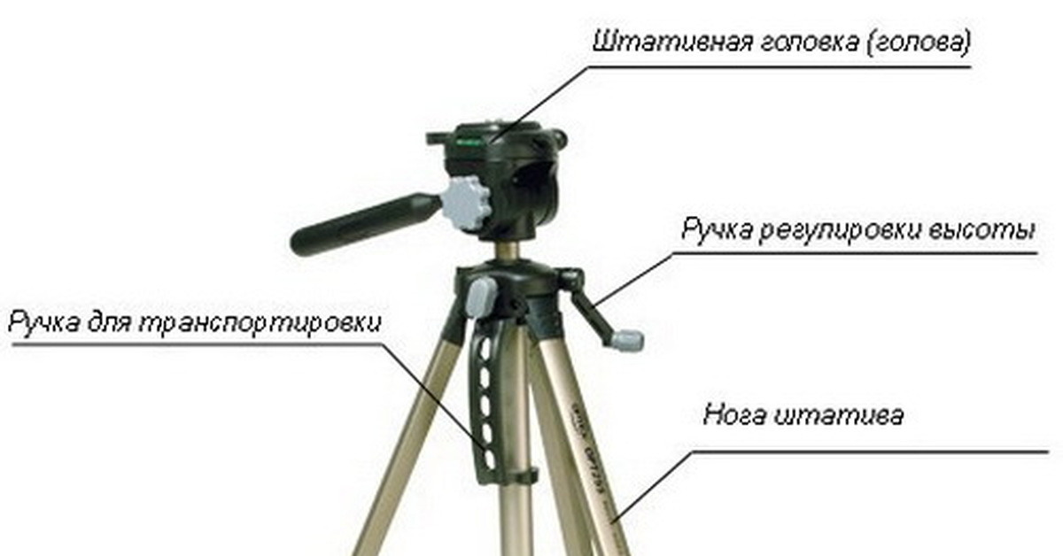 Функции штатива. Функция штатива. функция штатива в световом микроскопе.