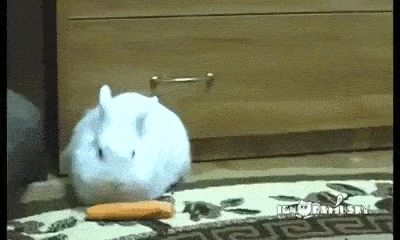 - Я смотрю Вам этого не надо?