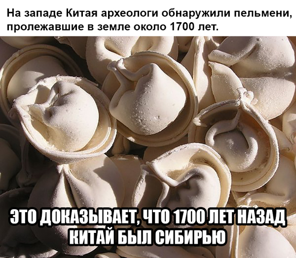 This, I understand, is a find! - Dumplings, China, Siberian dumplings, Humor