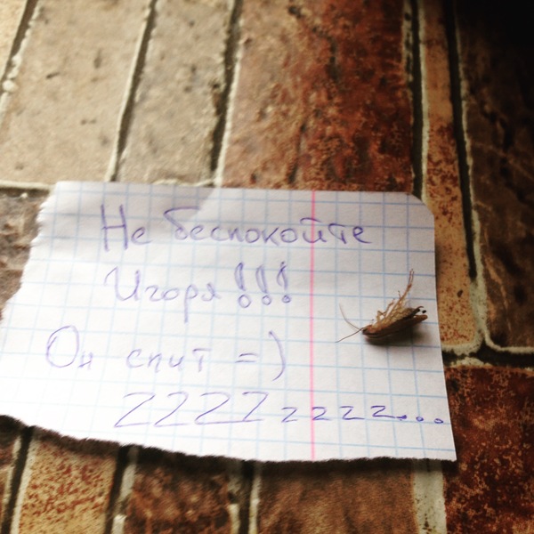 ������������ � ���� ������ � ���� ����� �������. ���� ��� ���� ����������� �� ������ ������� "���� ����"