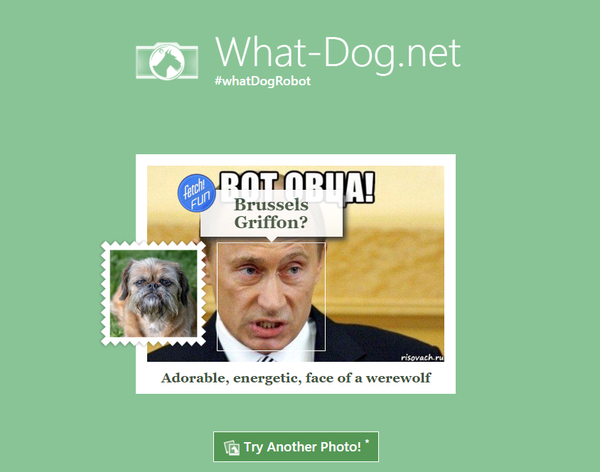 What-dog ��� ��� ���� :D