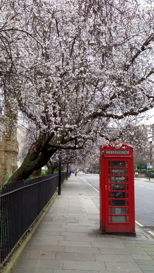 � ������ ������ �����