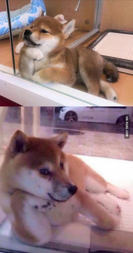 ��� ��� �� ��� �������? � ���� ������...