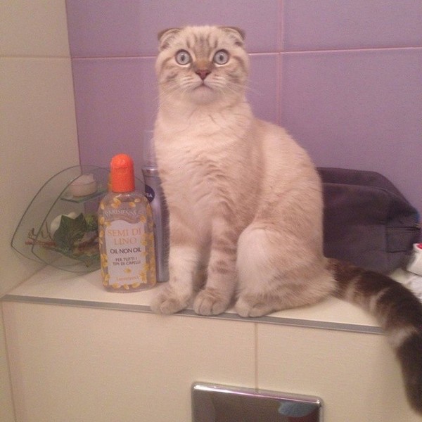 Когда забыл закрыть дверь на защелку и кто-то зашел