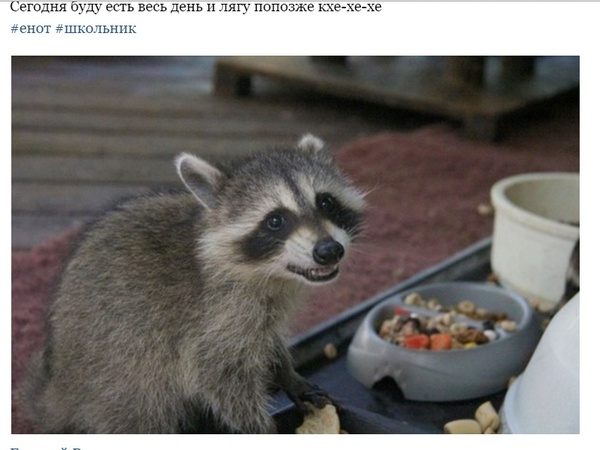 Мам, нам ничего не задали на выходные