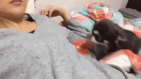  !