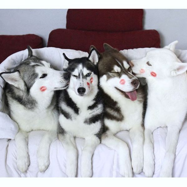 С днем Св. Валентина