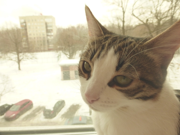 ������....