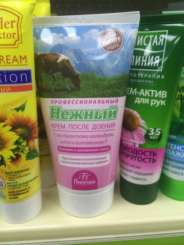 ���� ����� ....