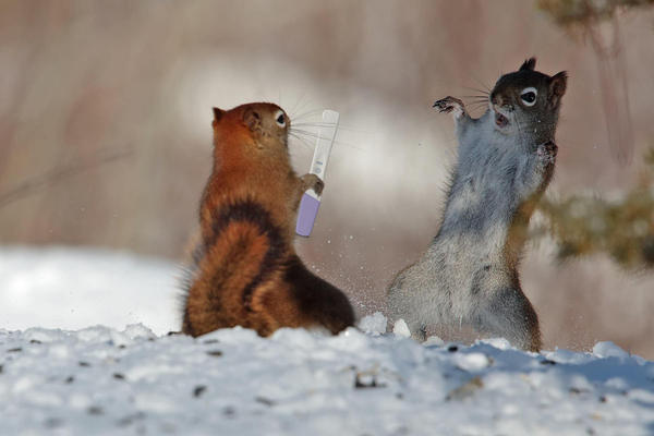 kartinki-staraya-blyad-deretsya-film