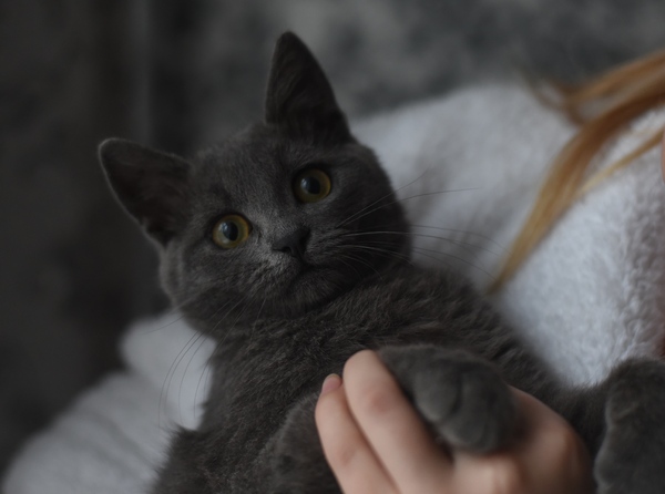 Низкоресурсная криптография