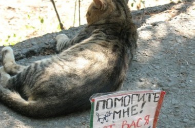 Прошу прощения за это, но все же....