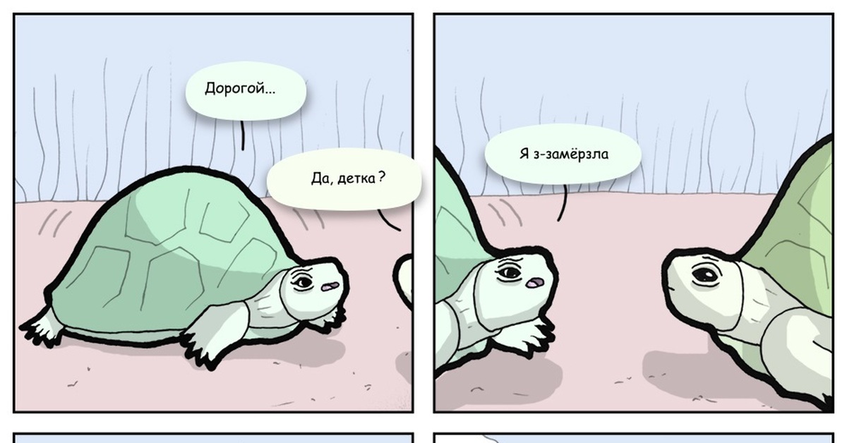 Turtle перевод на русский. Черепаший суп Мем. Черепашья работа карикатура. Переводчик Turtle. Черепаха влюбилась цитата.