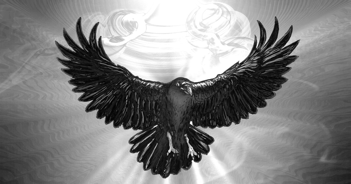 Ворон 4 крыла. Ворон с расправленными крыльями. Орел с распахнутыми крыльями. Черный ворон с расправленными крыльями. Ворон с распахнутыми крыльями.