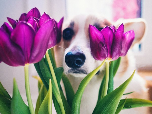 ����� �����!