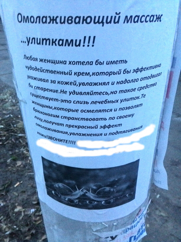 ���� ������ ���������?