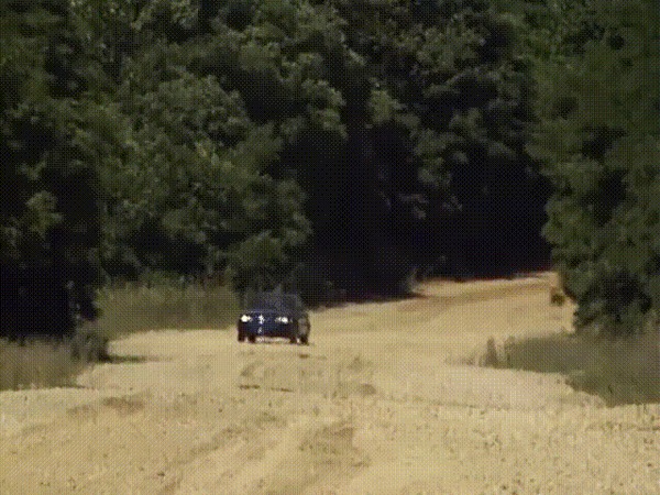 Беги, Форрест, беги!