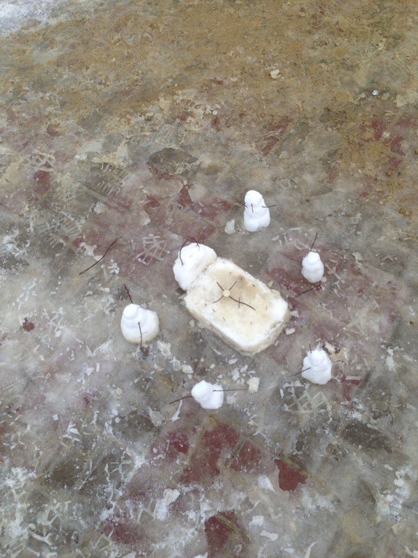 Вышел я на остановку и увидел это