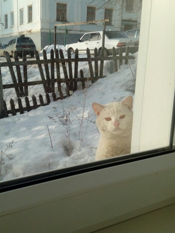 ��������� � ���� � ����, � ��� ...