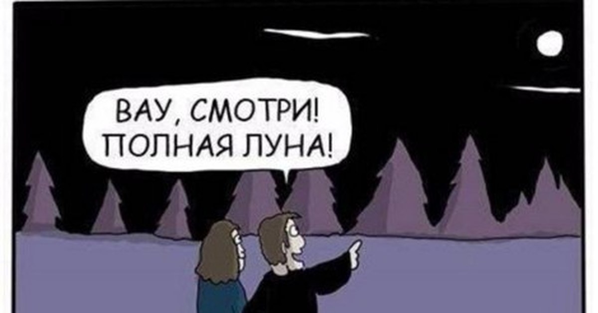 Покажи ка. Полная Луна прикол. Шутки про полнолуние. Шутки про полную луну. Полнолуние приколы.