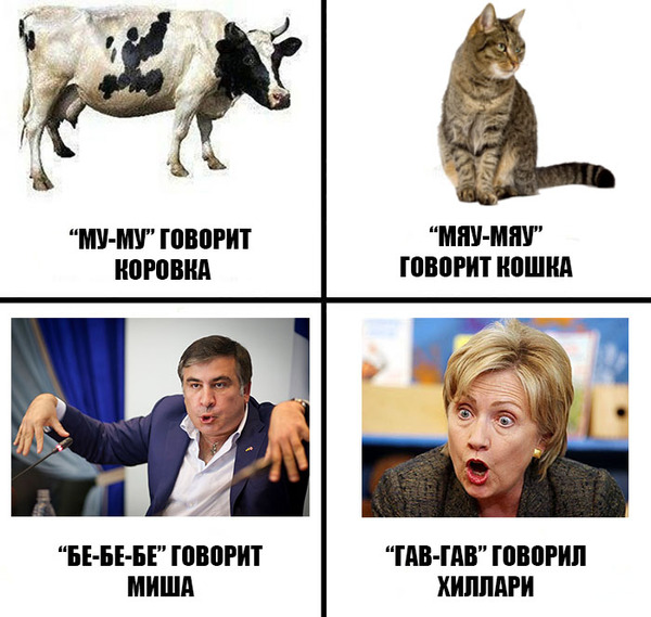 ����� ��������