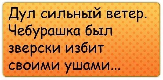 ��� ���������