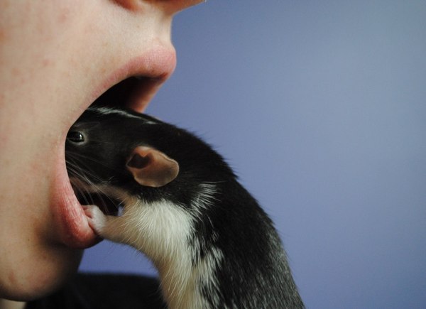 ��...������ ��� � ���� ����...