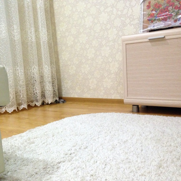 Когда коту стыдно