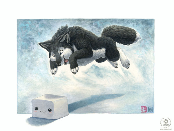 Tofu Foxie