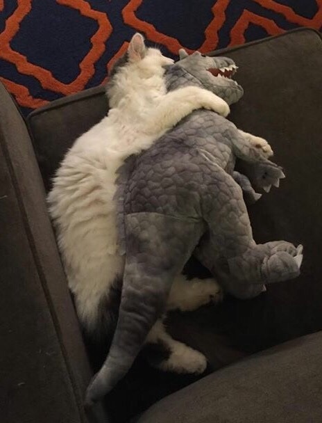 &quot; ,   ,      .&quot;