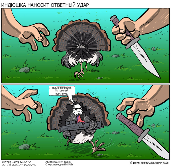 Индюшка наносит ответный удар