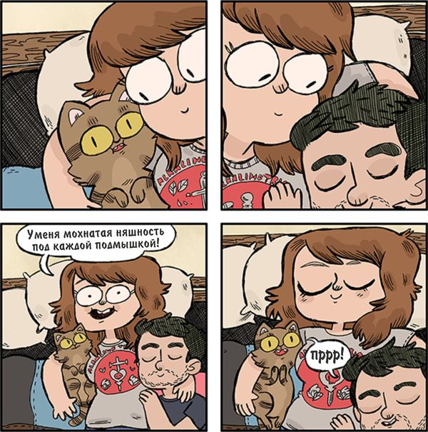 ����������