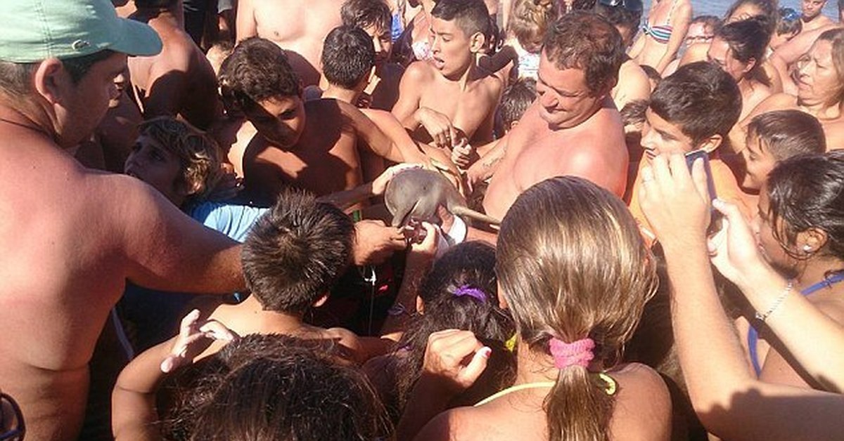 Брат пустил по кругу. Облапали в толпе. Фото замученных туристов. Обслужила толпу на пляже.