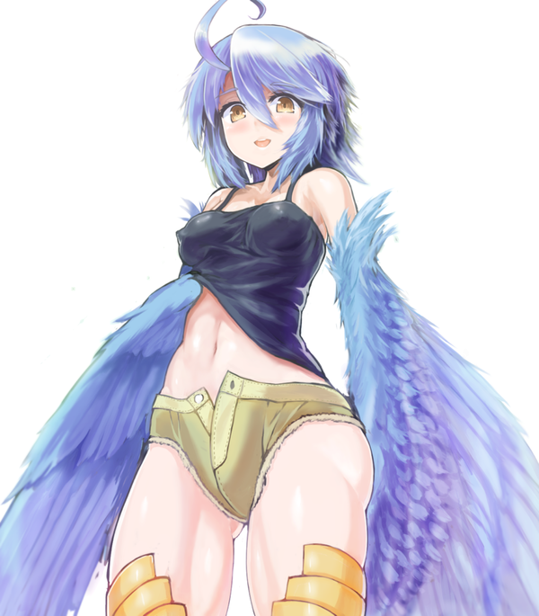 Anime Art. Monster Musume no Iru Nichijou, Harpy, Monster Girl, , , Anime Art