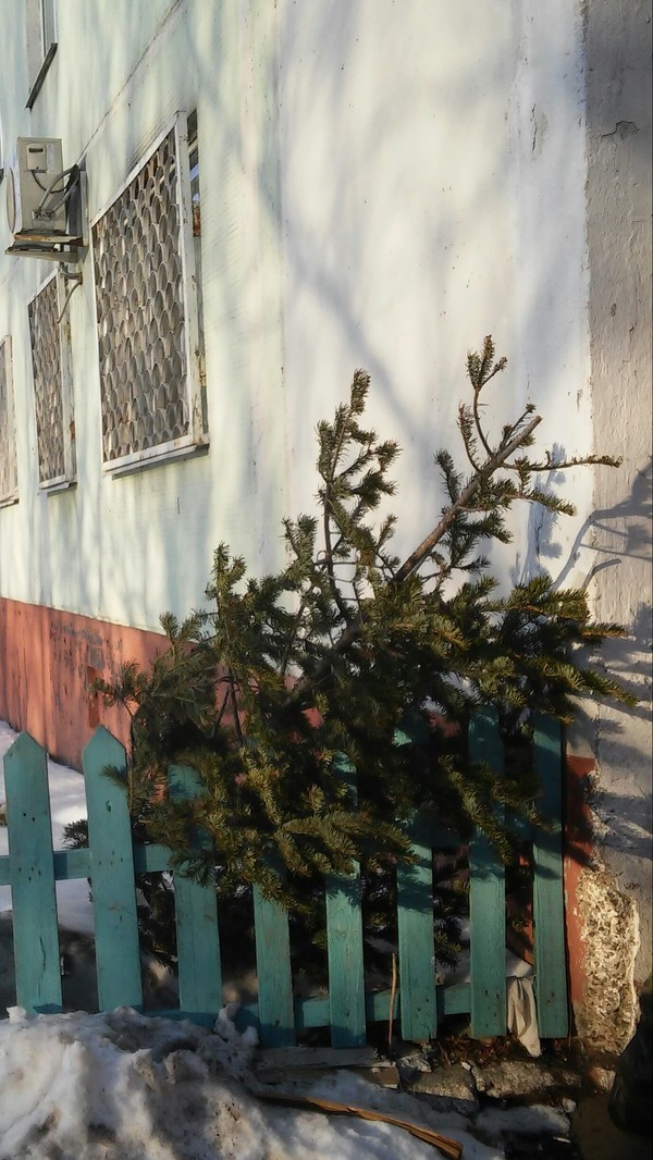 18 февраля. Еще один слабак сдался