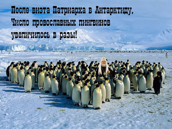 ����� ���������