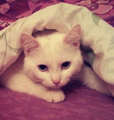 �������� ���������!