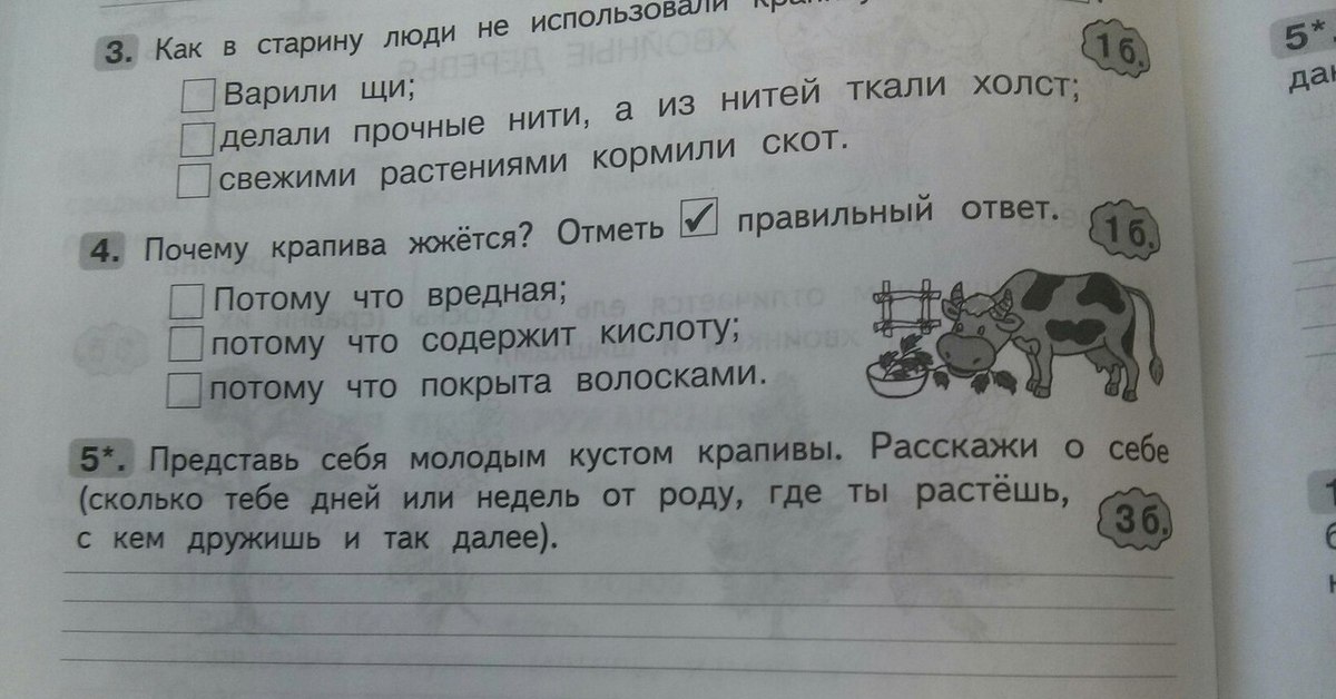 Мама решила сварить щи из крапивы определи порядок действий мамы пронумеровав рисунки