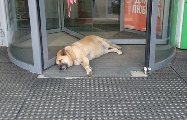 И пусть весь мир подождет.