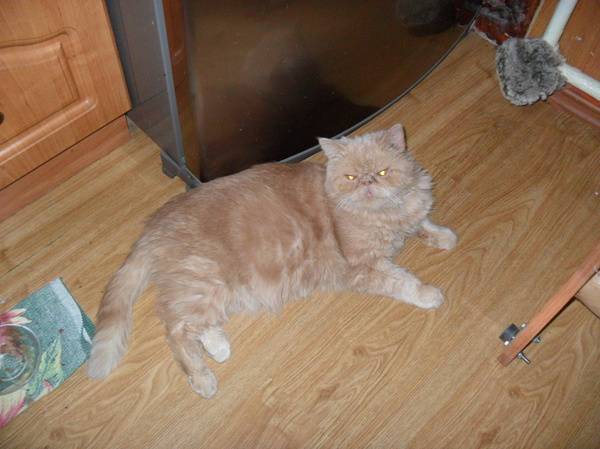 ������ ����� �����.