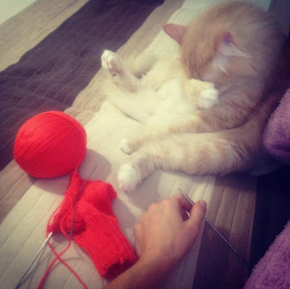 Когда сестра собралась связать себе перчатки