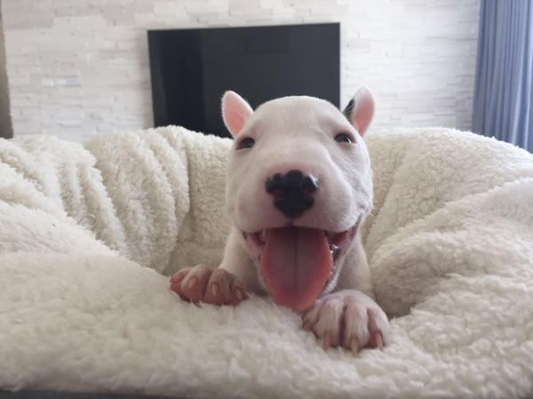 ����-���**�