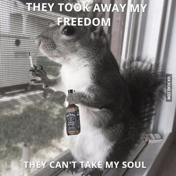 Max Payne main theme OST