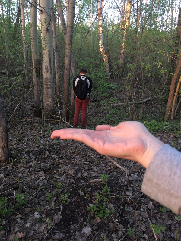 ����������� ������ - �������� �������...