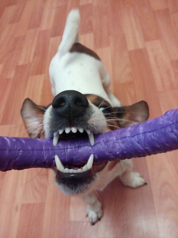 �� ���, ��� �������� ��������� ����� "���-����" )))