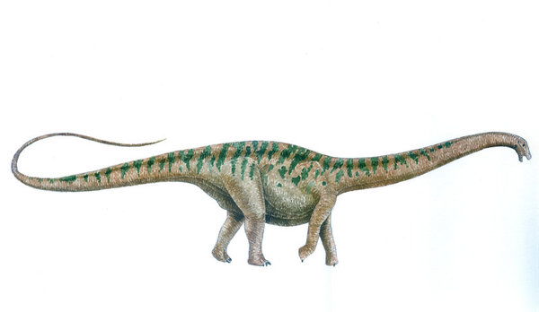  ,  , , , Saurischia, Apatosaurus, , 